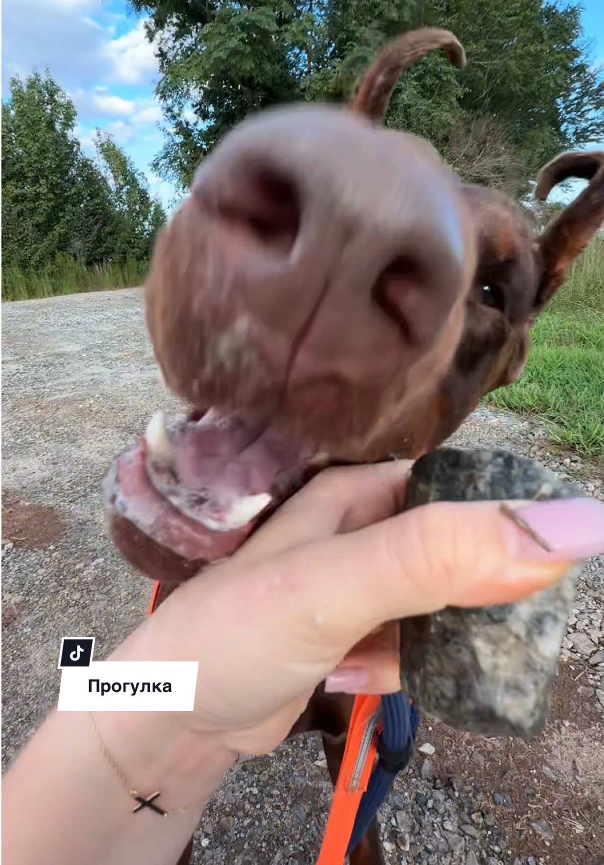 @Инна | Беркут