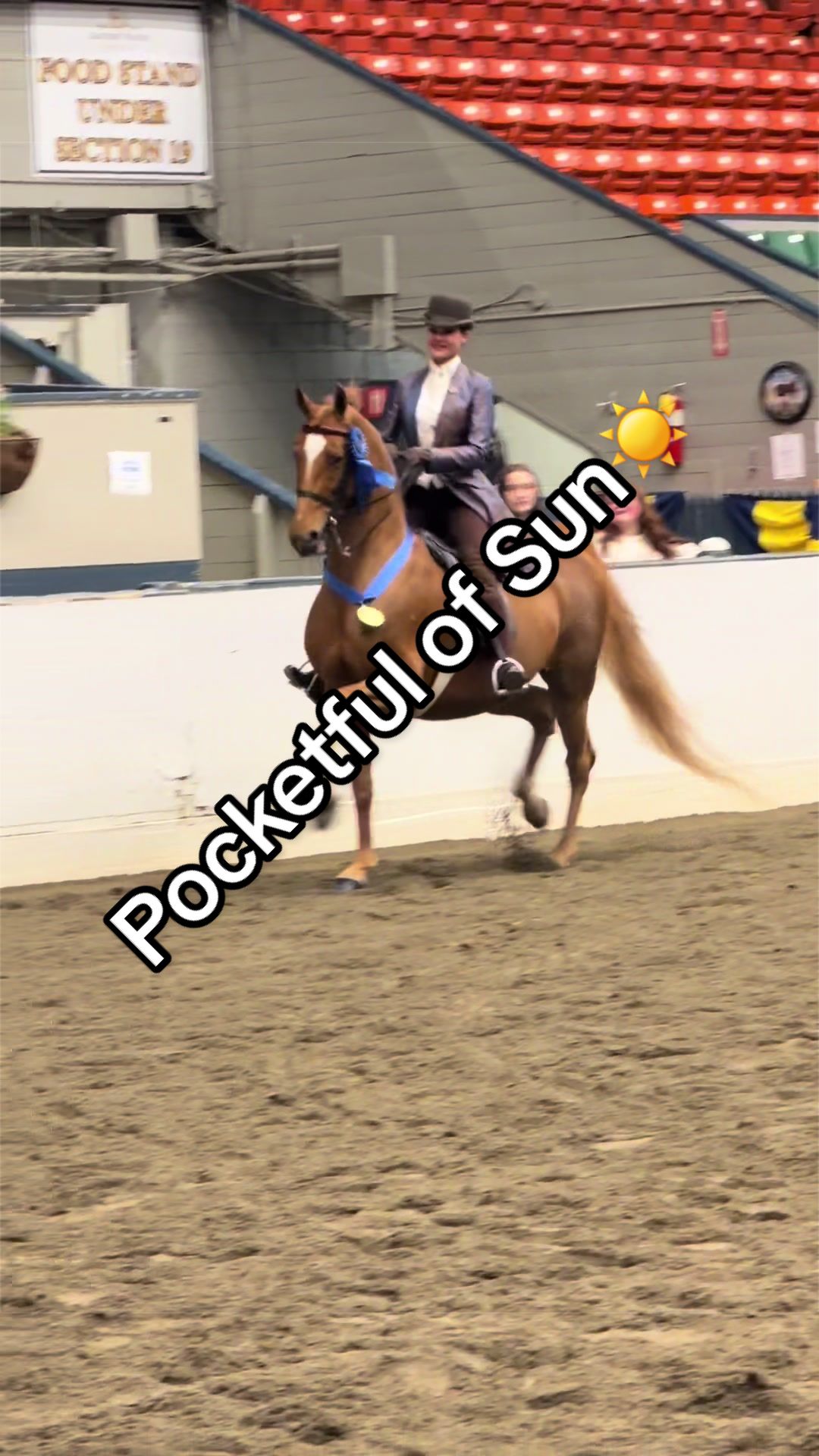 @Seraphim Stables
