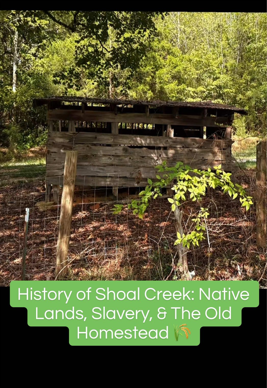 @Native Alabama