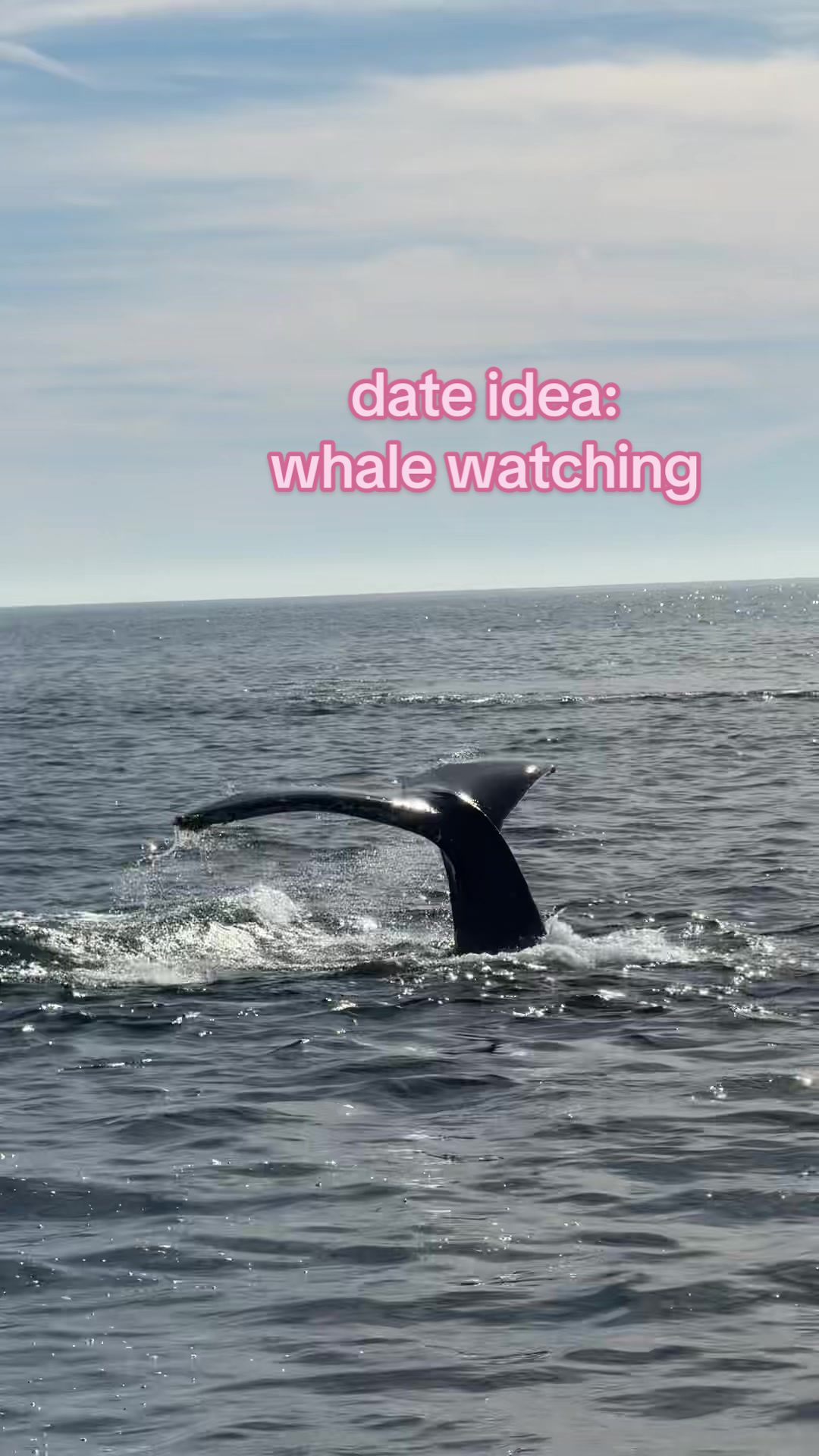 @hannah