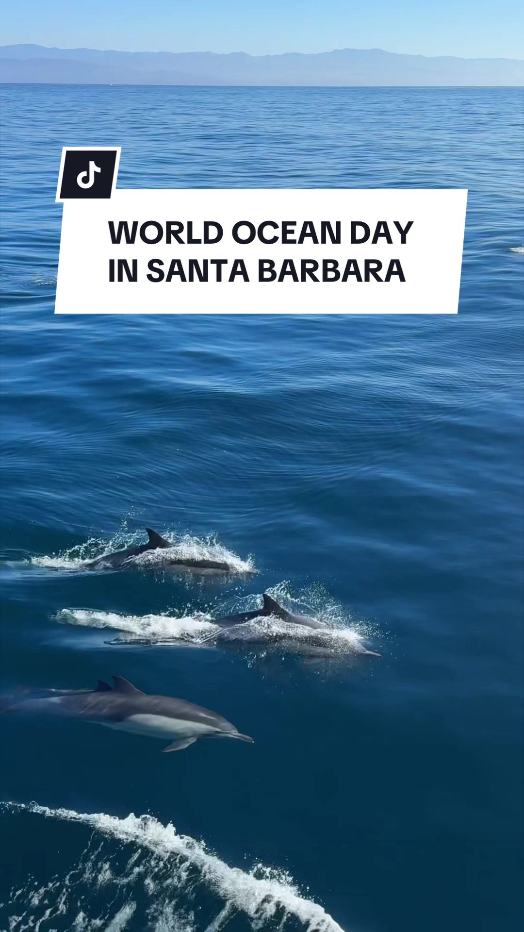 @Visit Santa Barbara