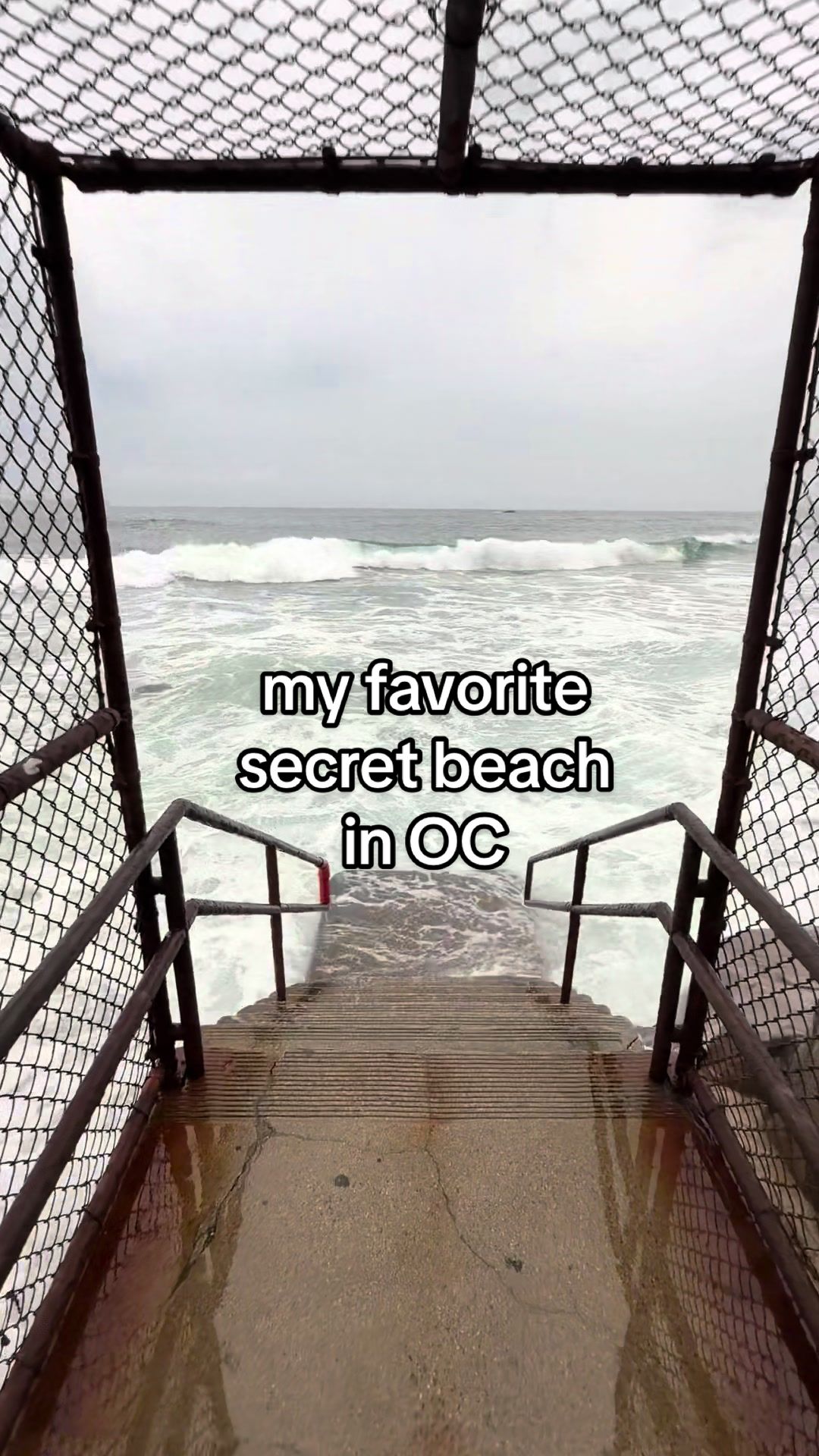 @omg.mj