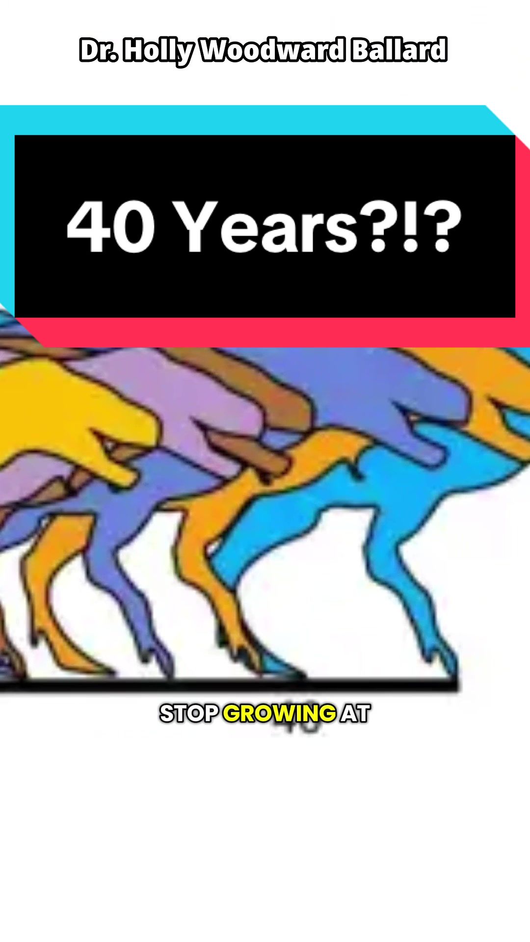 @Dino Guy