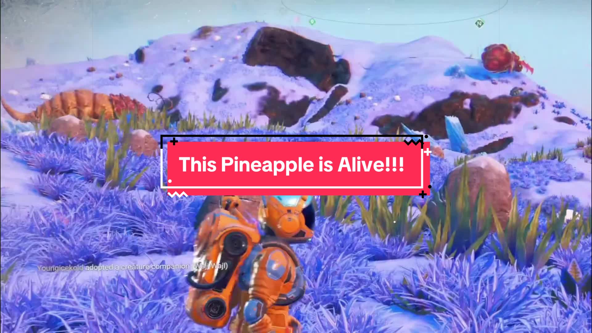 @No Man’s Universe