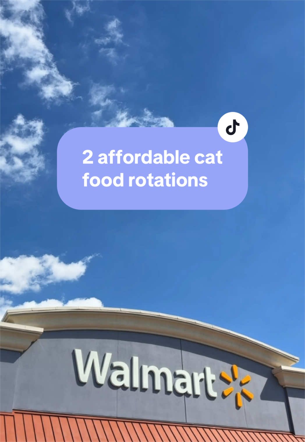 @Feminist Kitty | Cat Nutrition