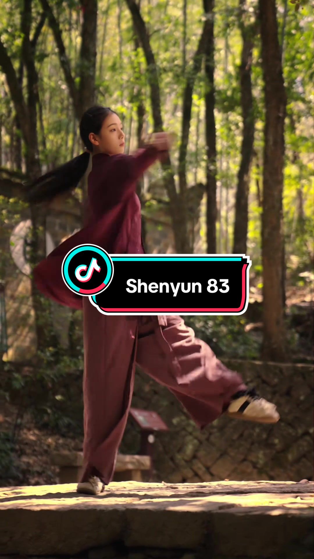@kungfu shenyun
