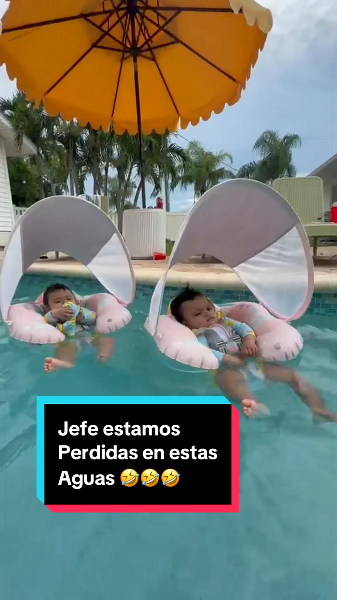 @Lisette Perez Moreno