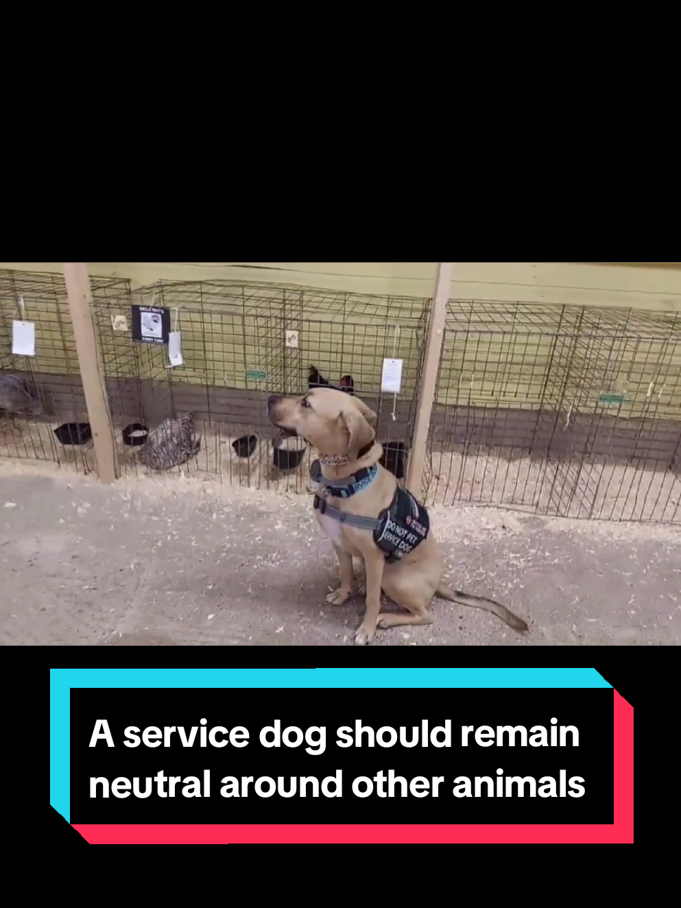 @🐕&zwj;🦺 Kat Johnson 🐾