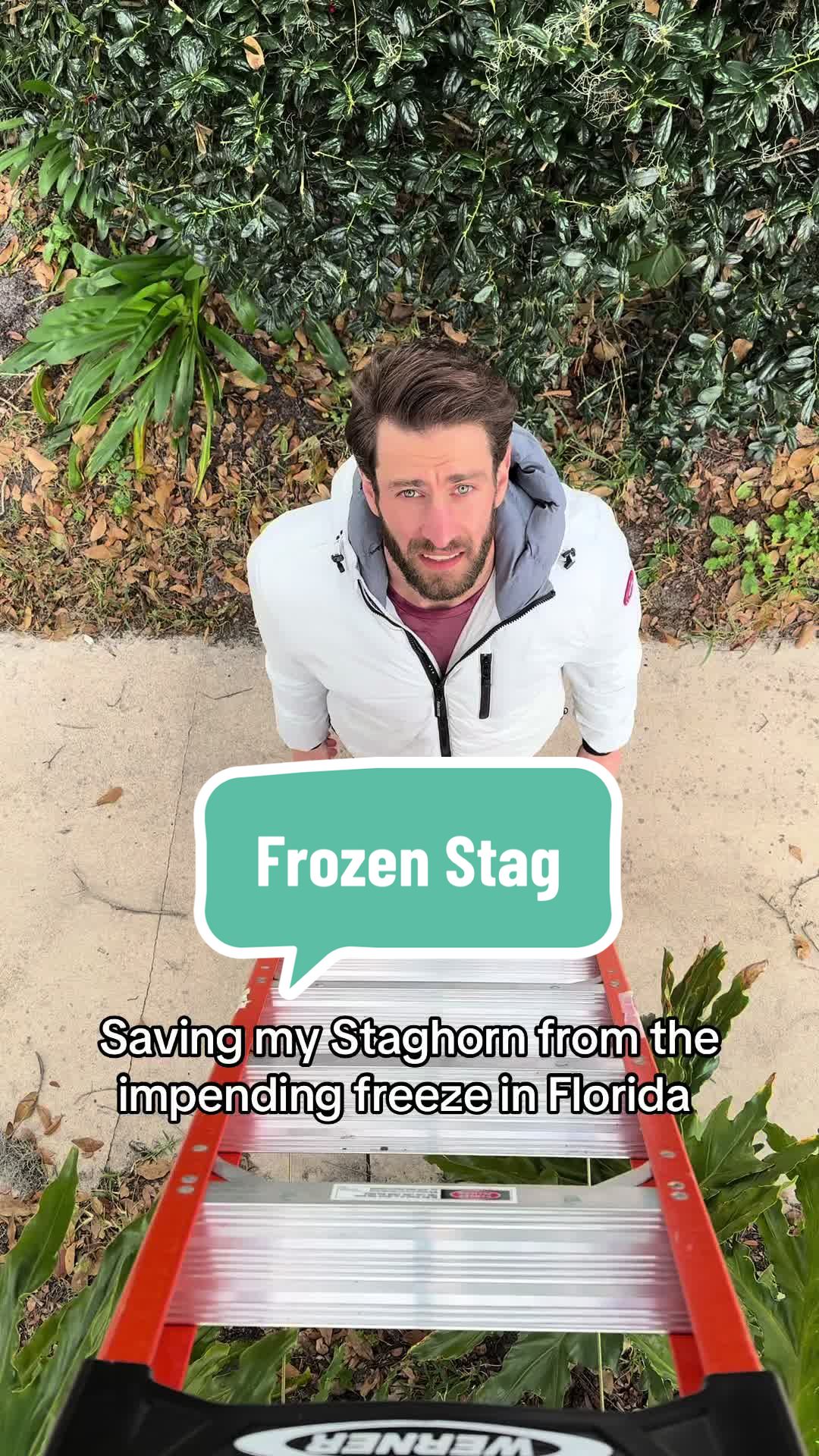 @fitplantguy