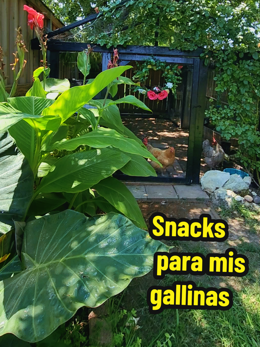 @Mi Rinc&oacute;n Favorito