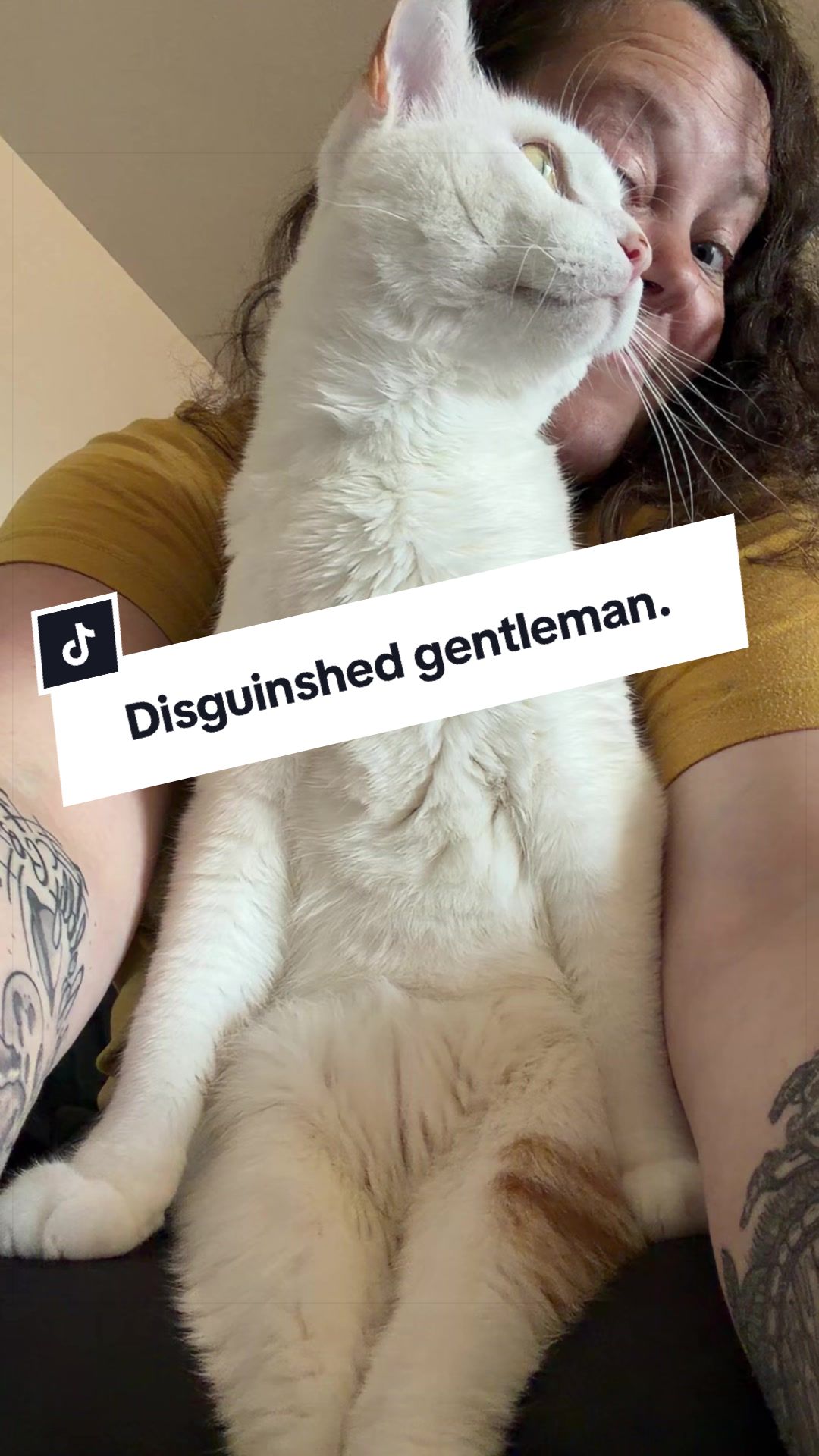 @Meg Moe