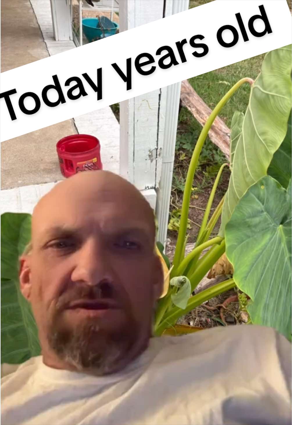 @Countree1978