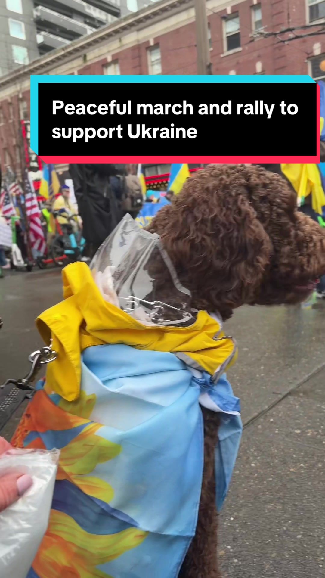 @American_born_in_USSR