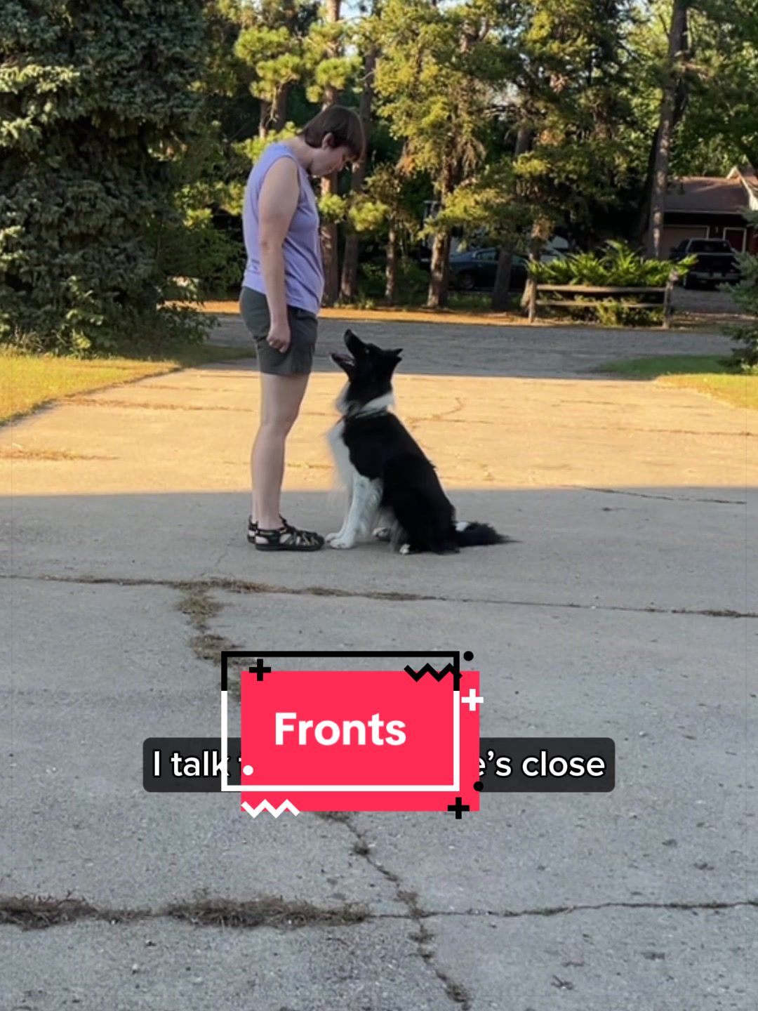 @Laura Waudby - Dog Sports
