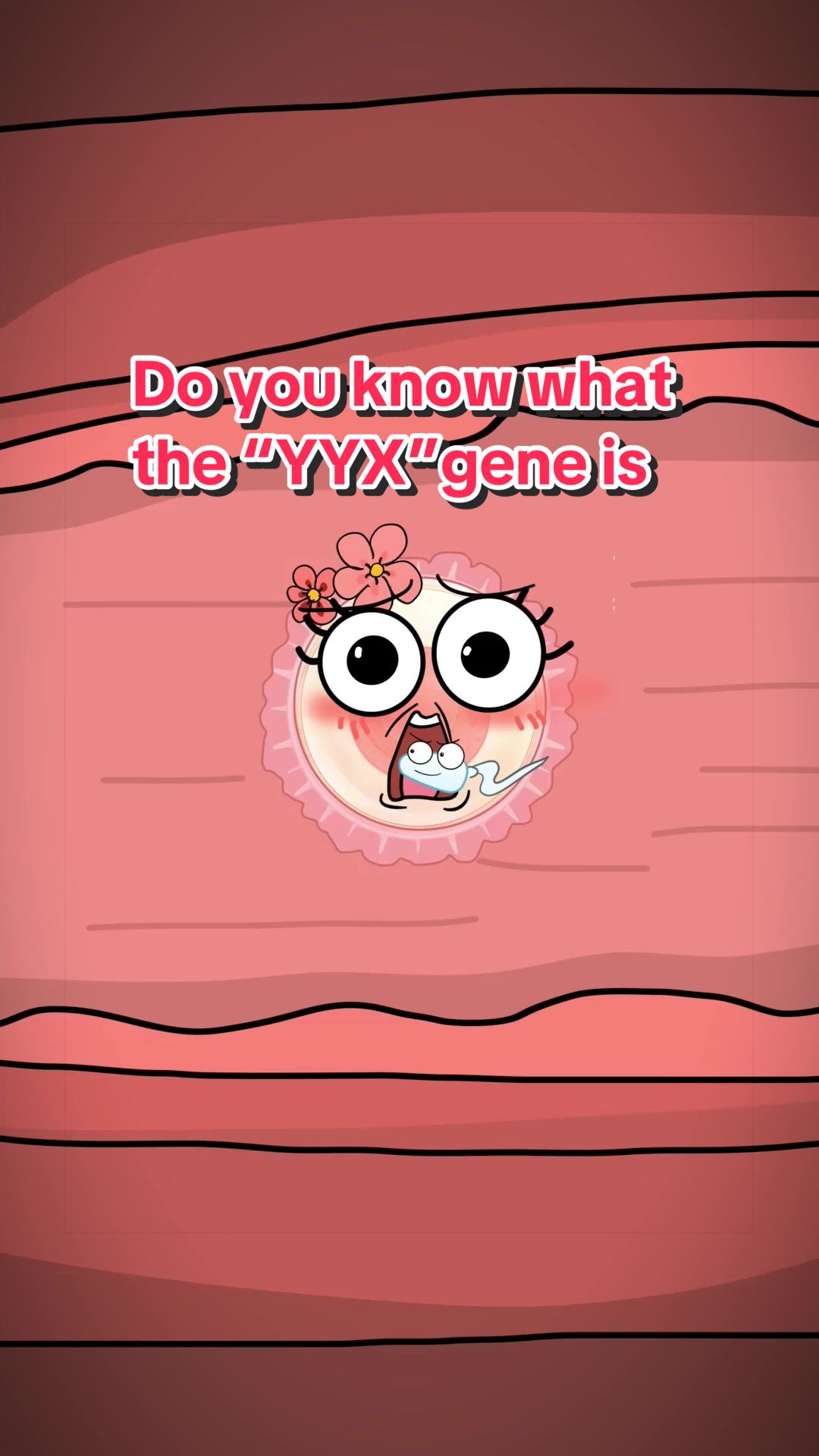 @Funny Animations