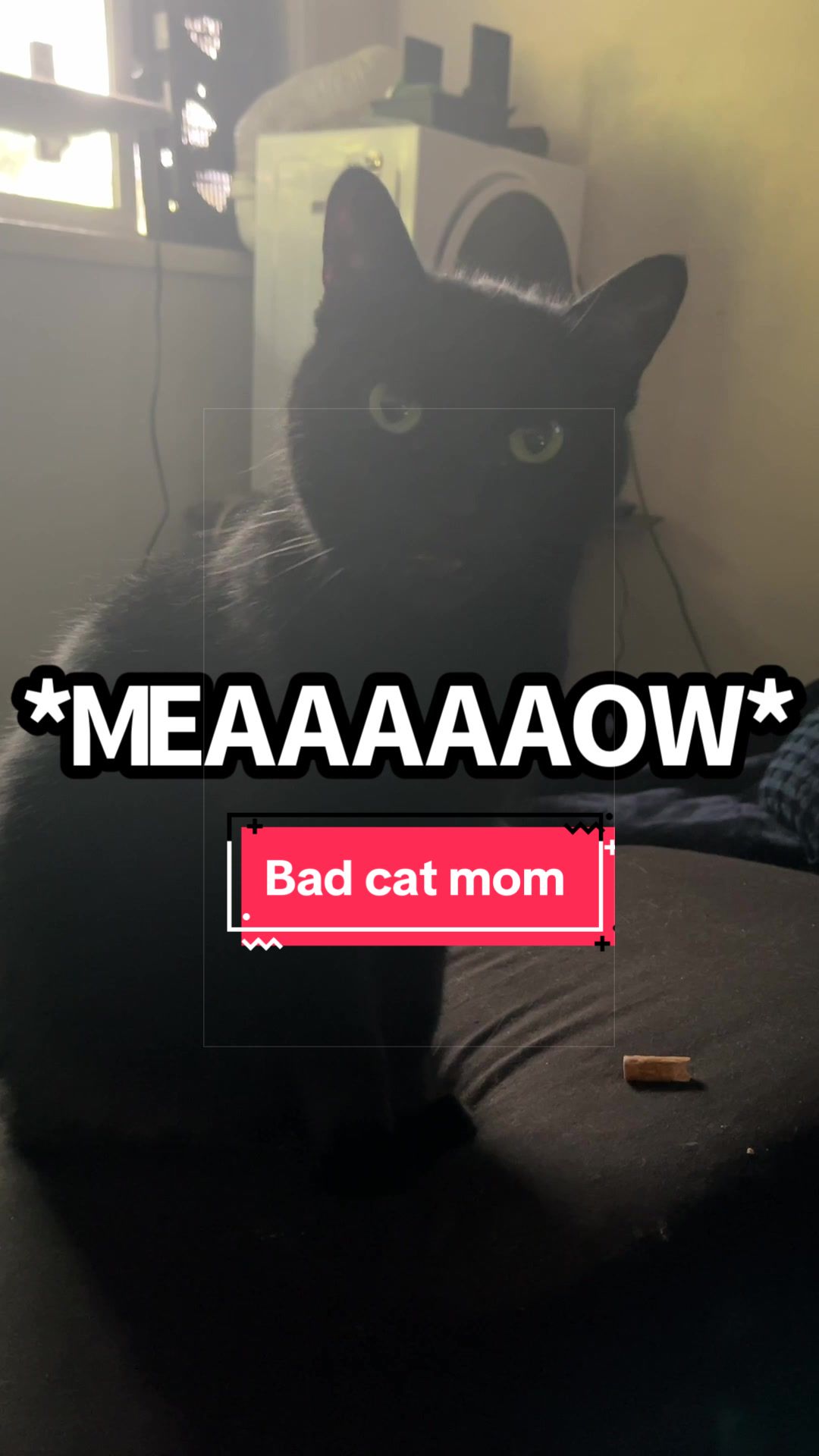 @Teaweaselstopmo