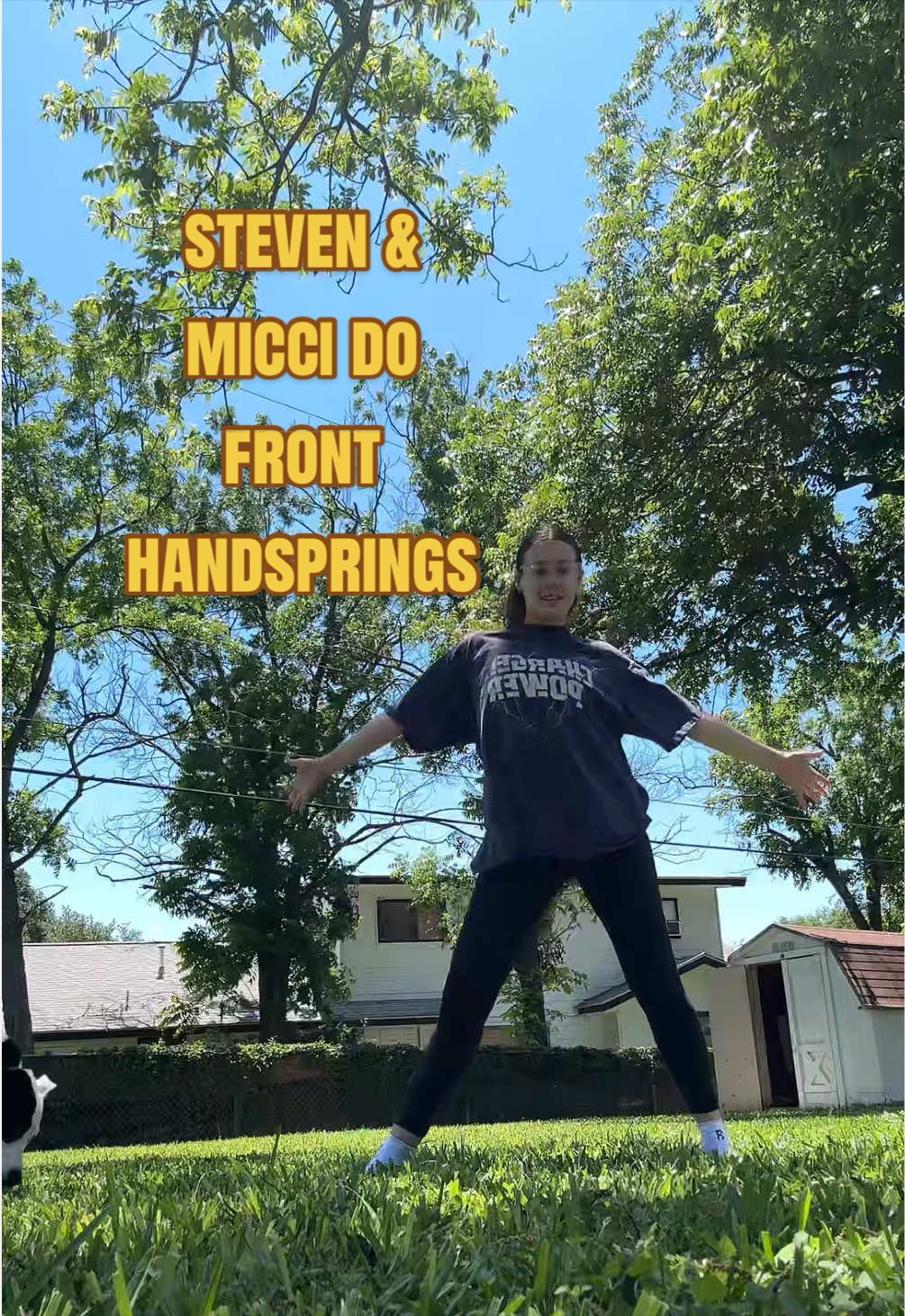@mic