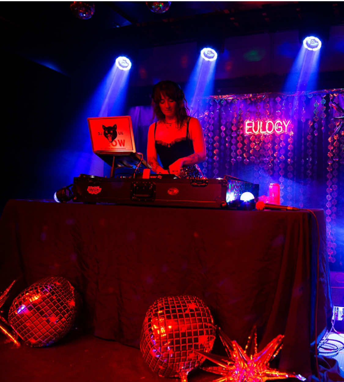 @DJ Lil Meow Meow