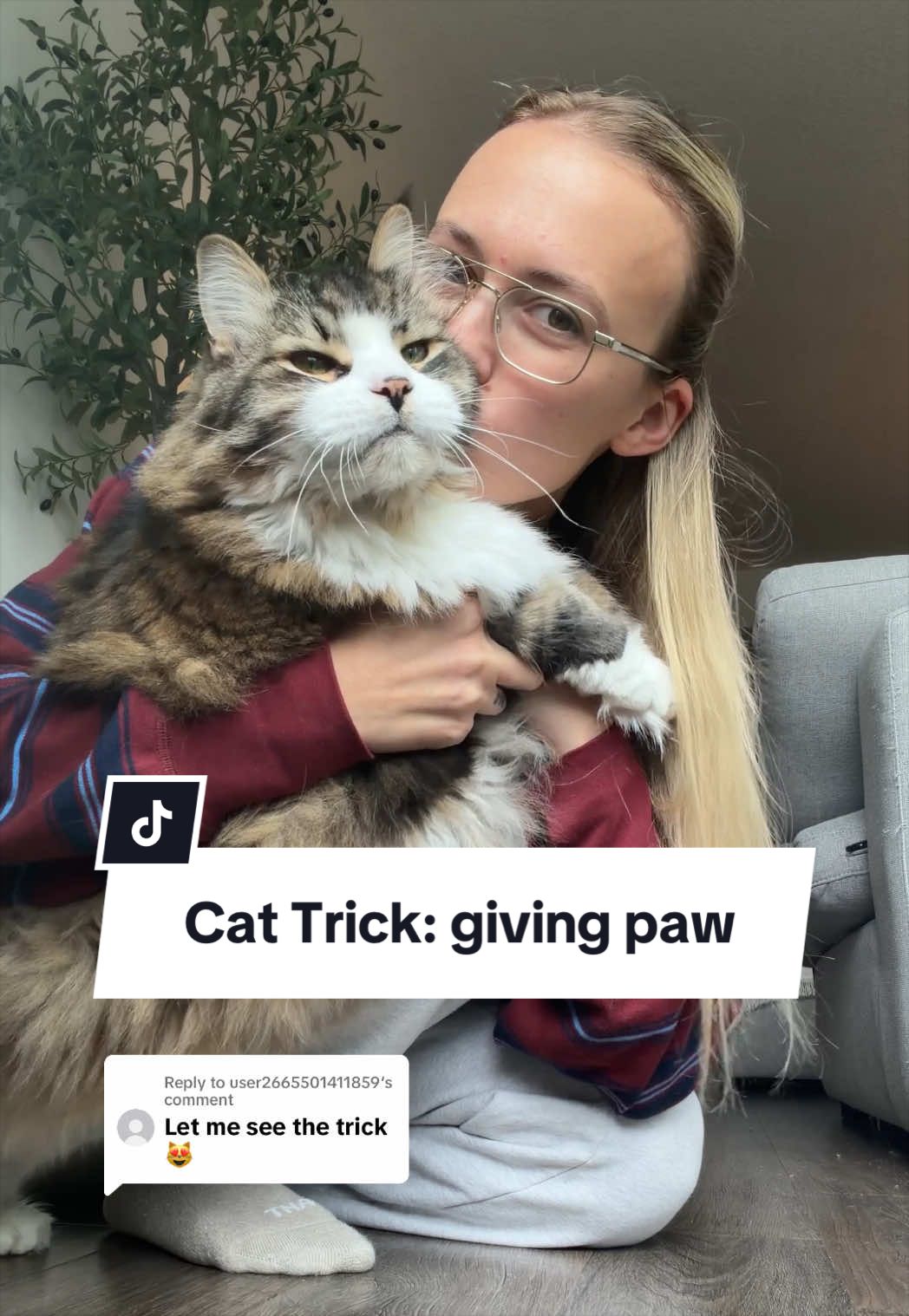@Tuft & Paw
