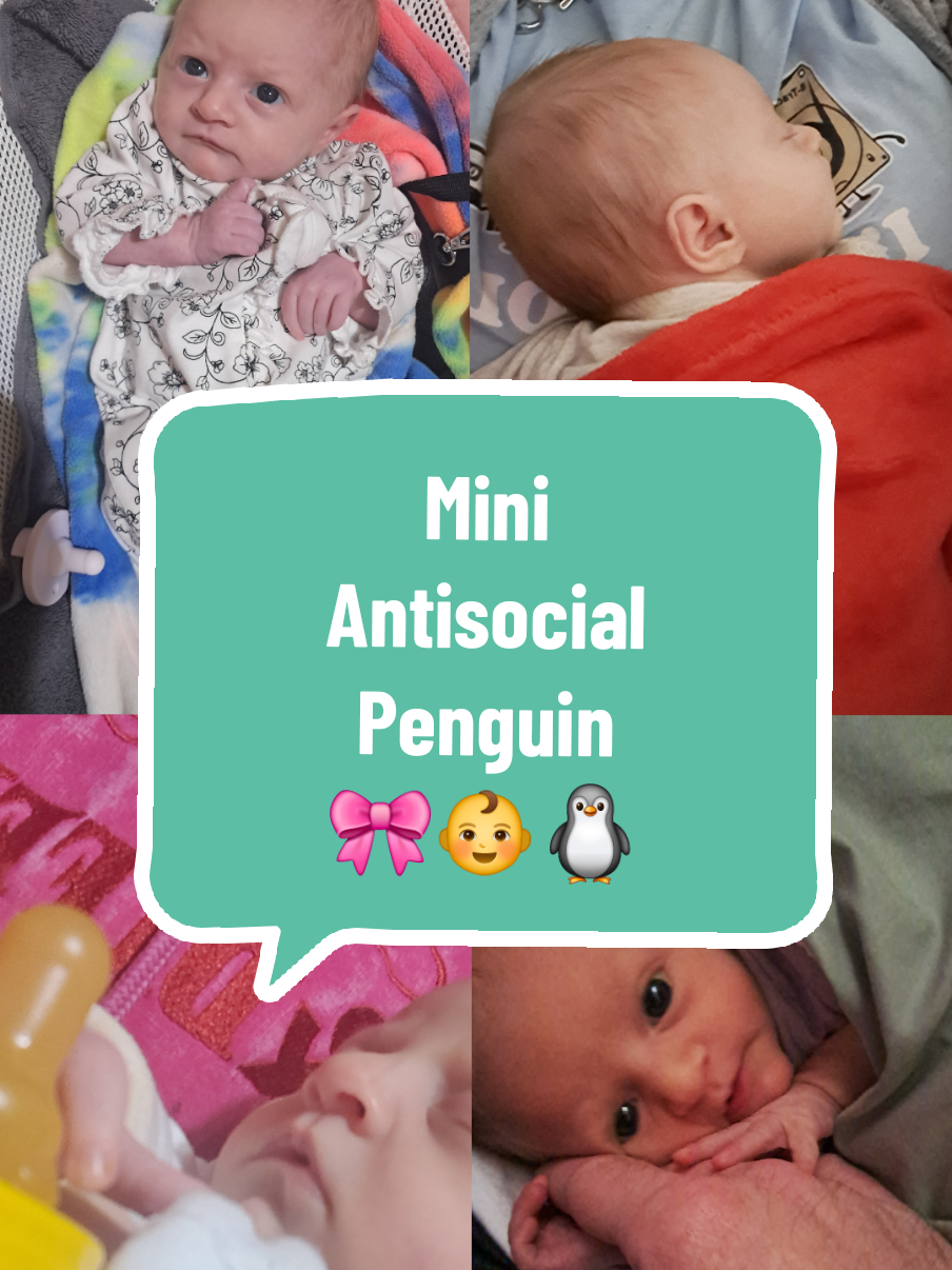 @Antisocial Penguin🐧