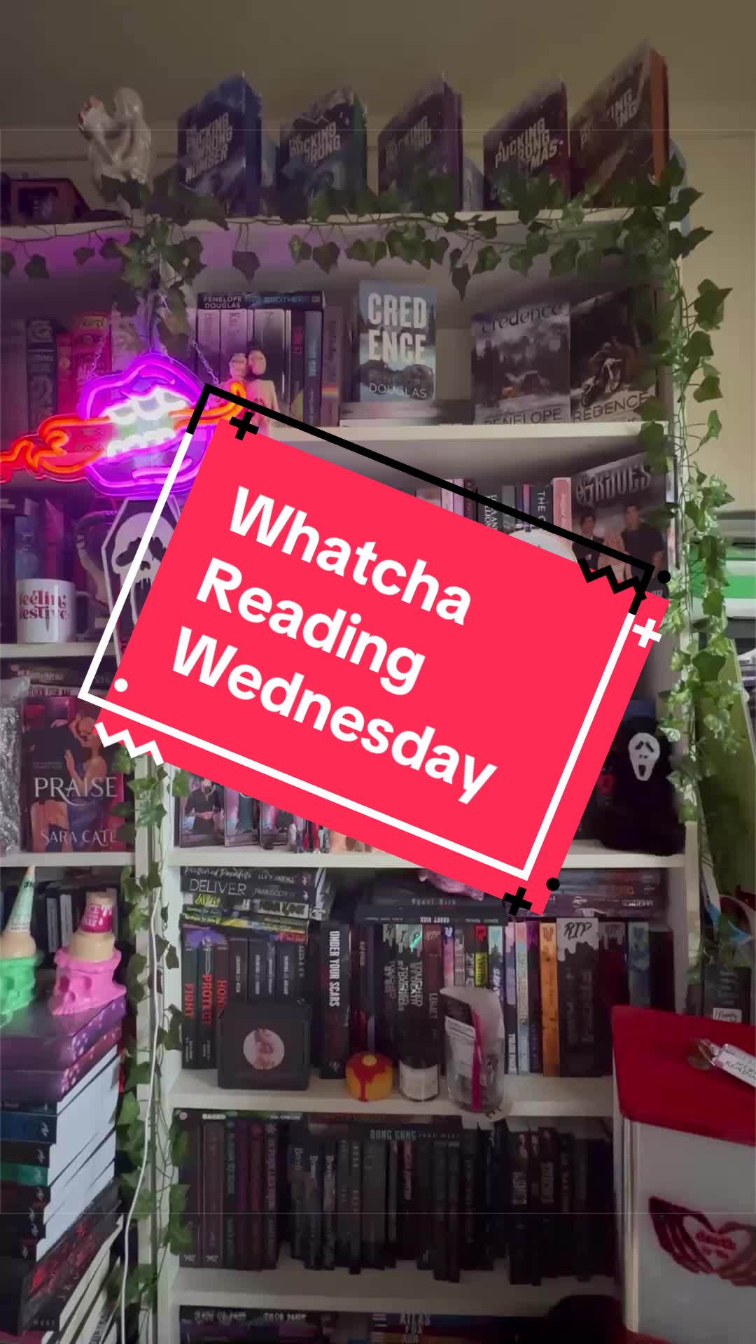 @themandysin 📚🦇