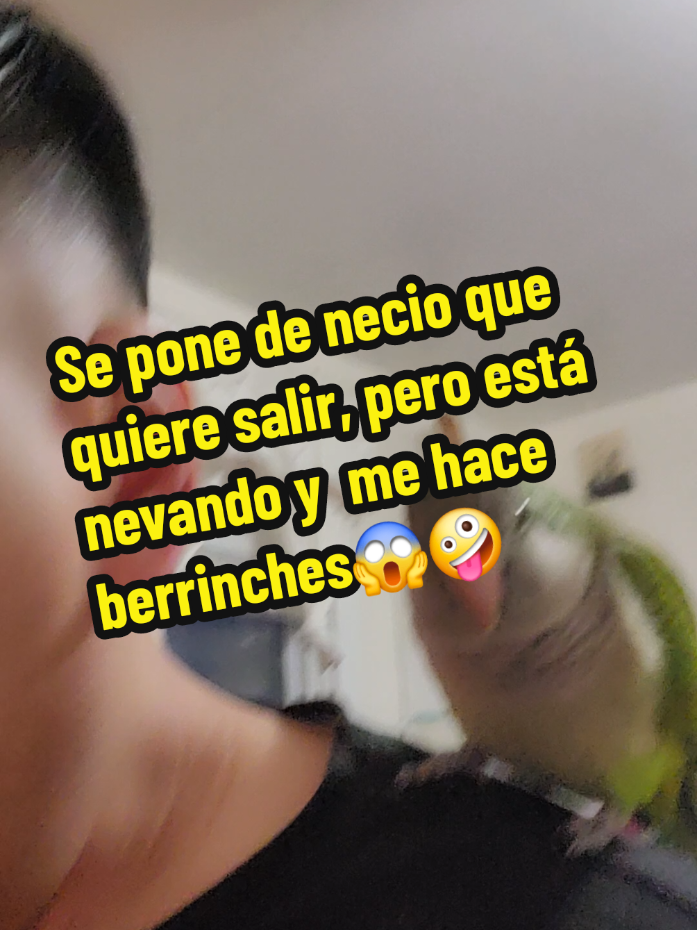 @Nico
