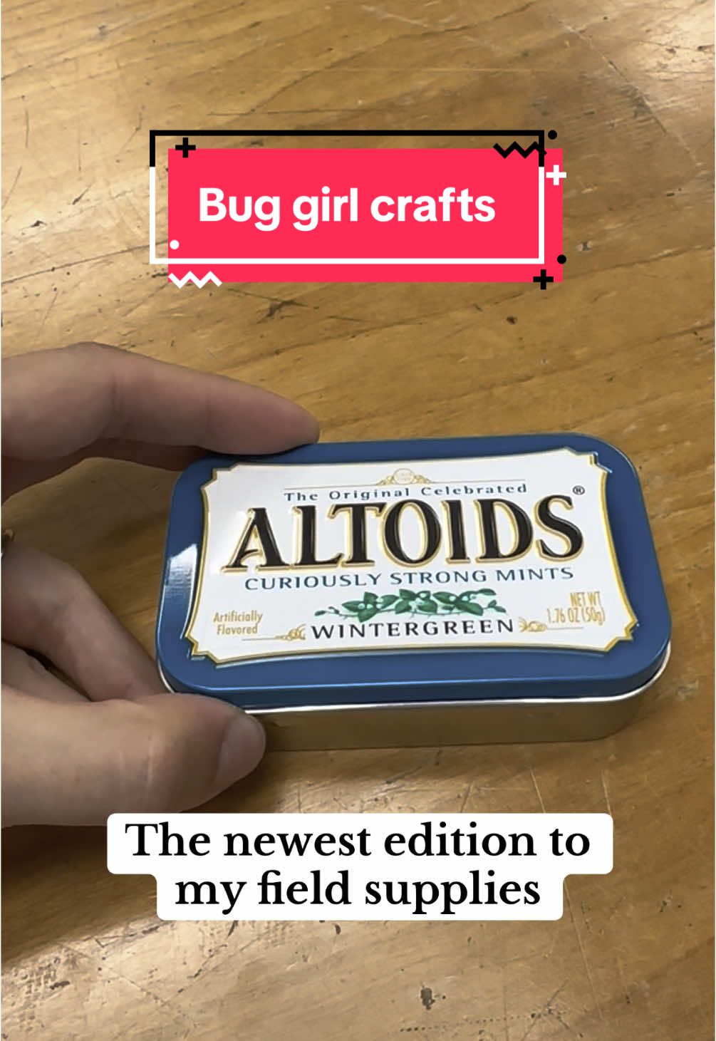@Entomology Abby