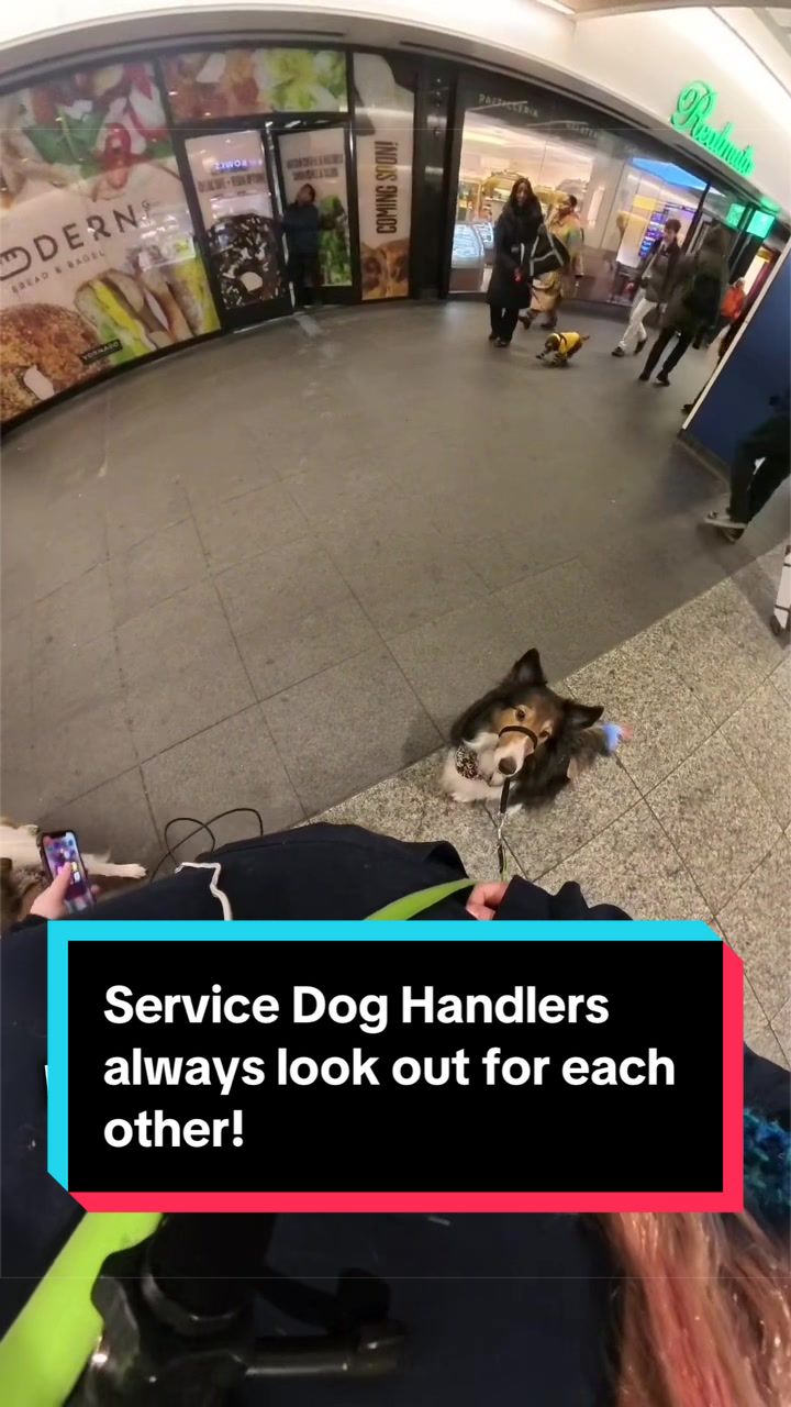 @Dakota & Pups