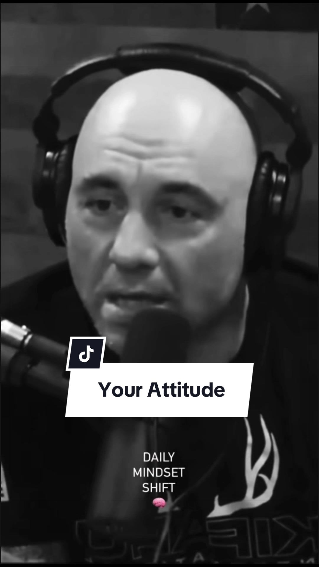 @Daily Mindset Shift