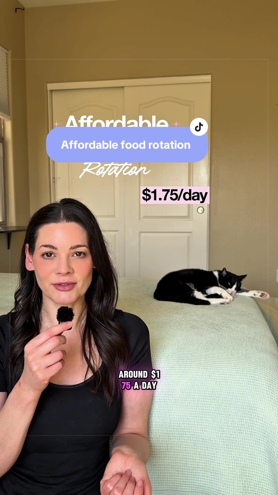 @Feminist Kitty | Cat Nutrition