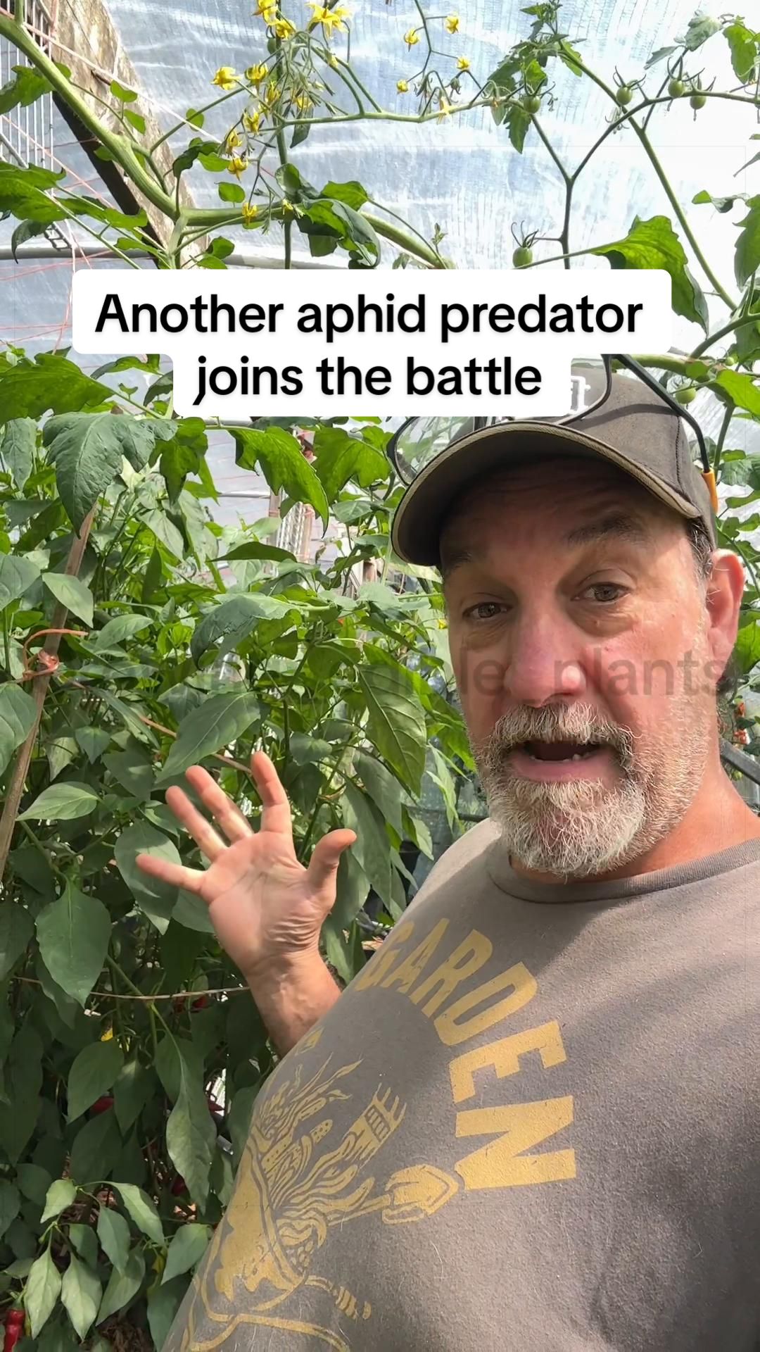 @GROWING_EDIBLE_PLANTS