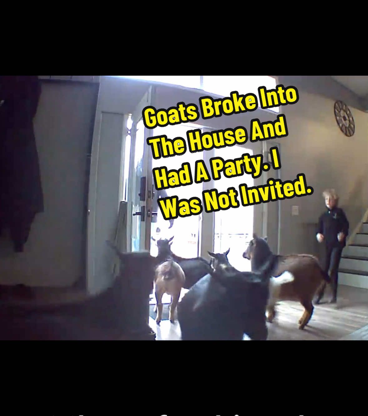 @KidsOnKerth 🐐 Hannah 💀🎃👻