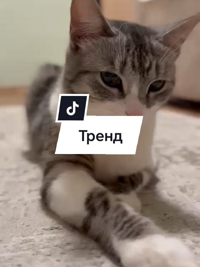 @🩸маньячка🩸