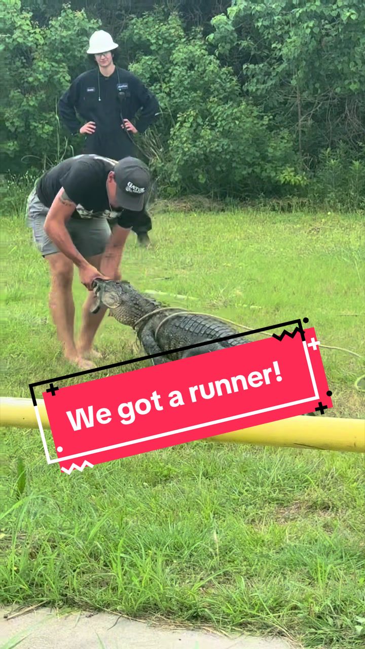 @Gator Country TX
