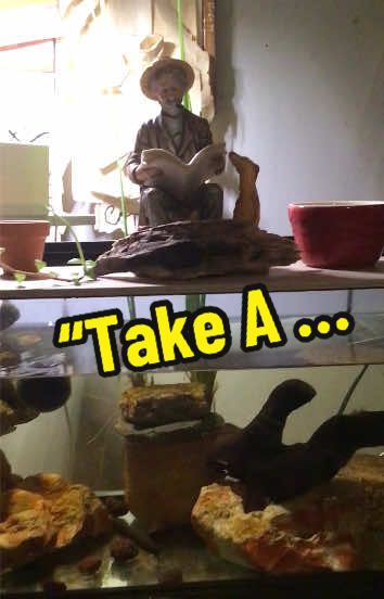 @Animal Papa