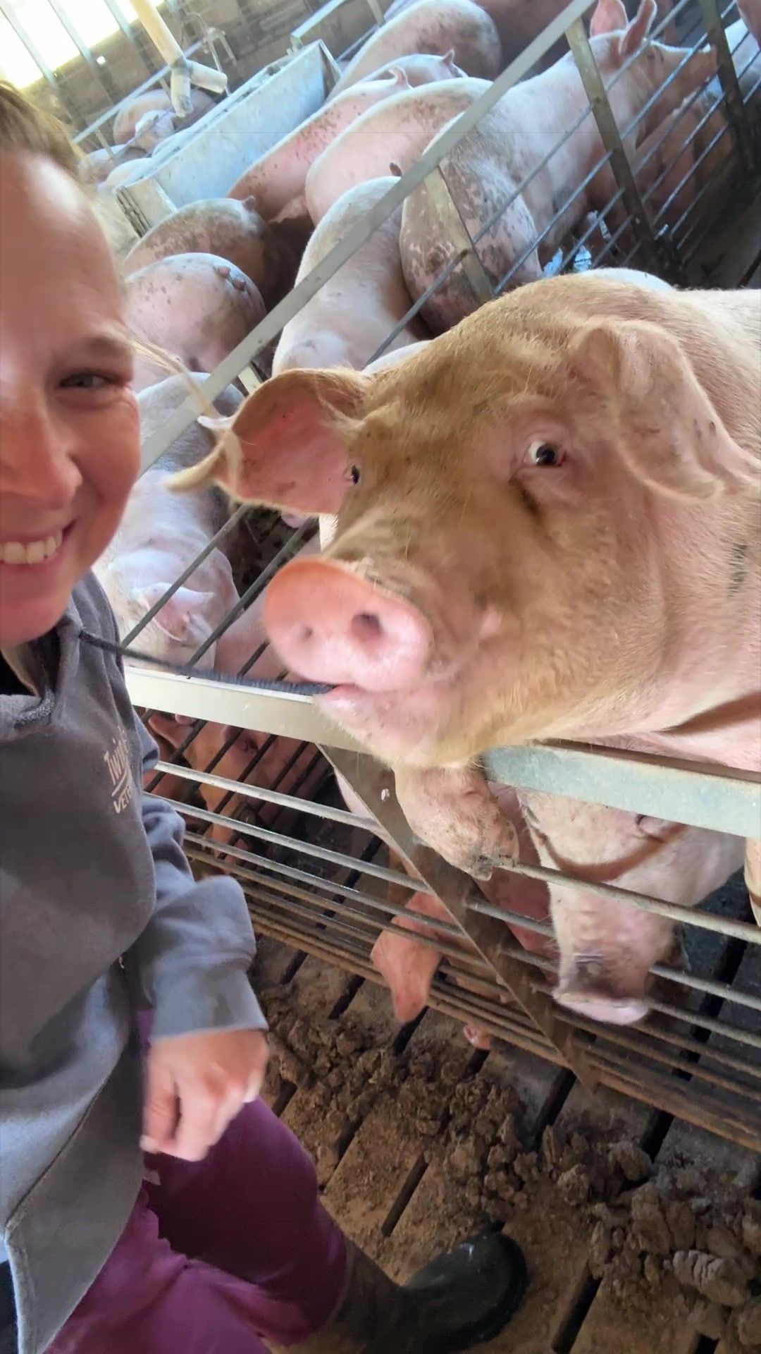 @Bec’s Pig Paradise | Becky B