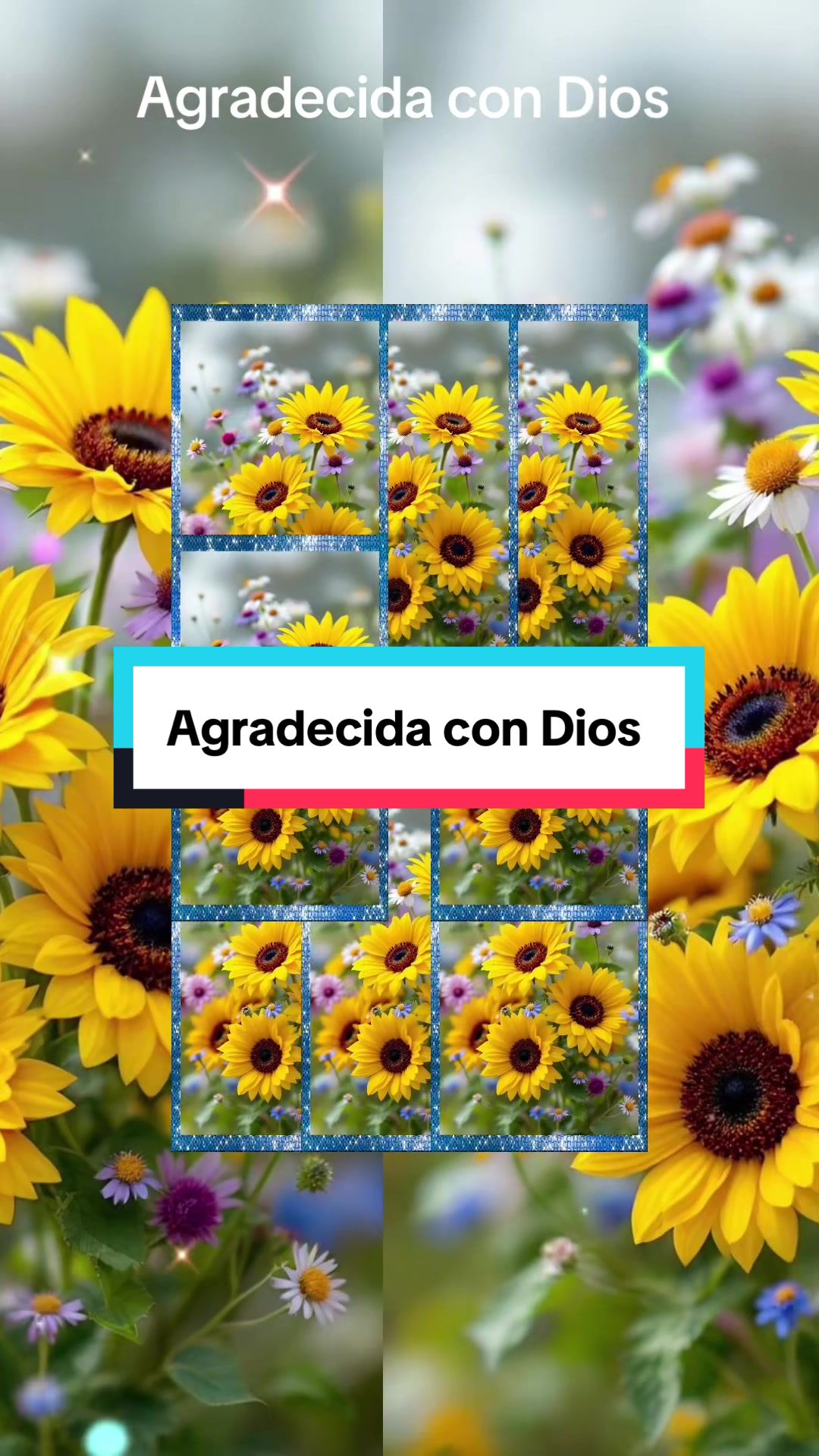 @Alabanzas al Creador 🕊️