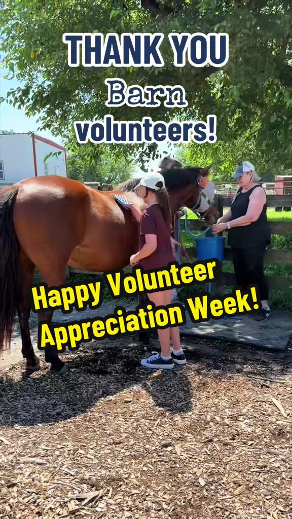 @Days End Farm Horse Rescue