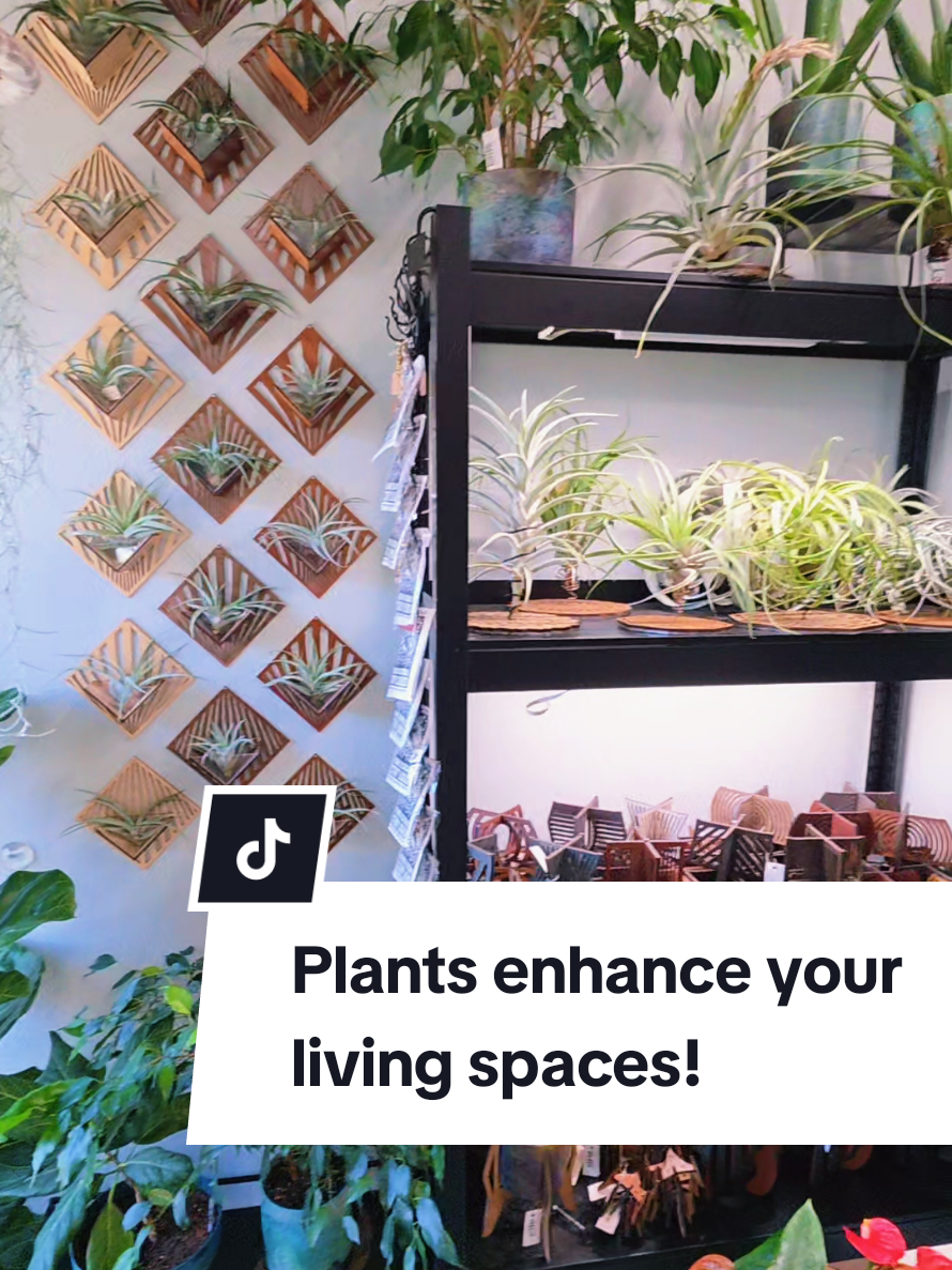 @terraplanted | West Seattle