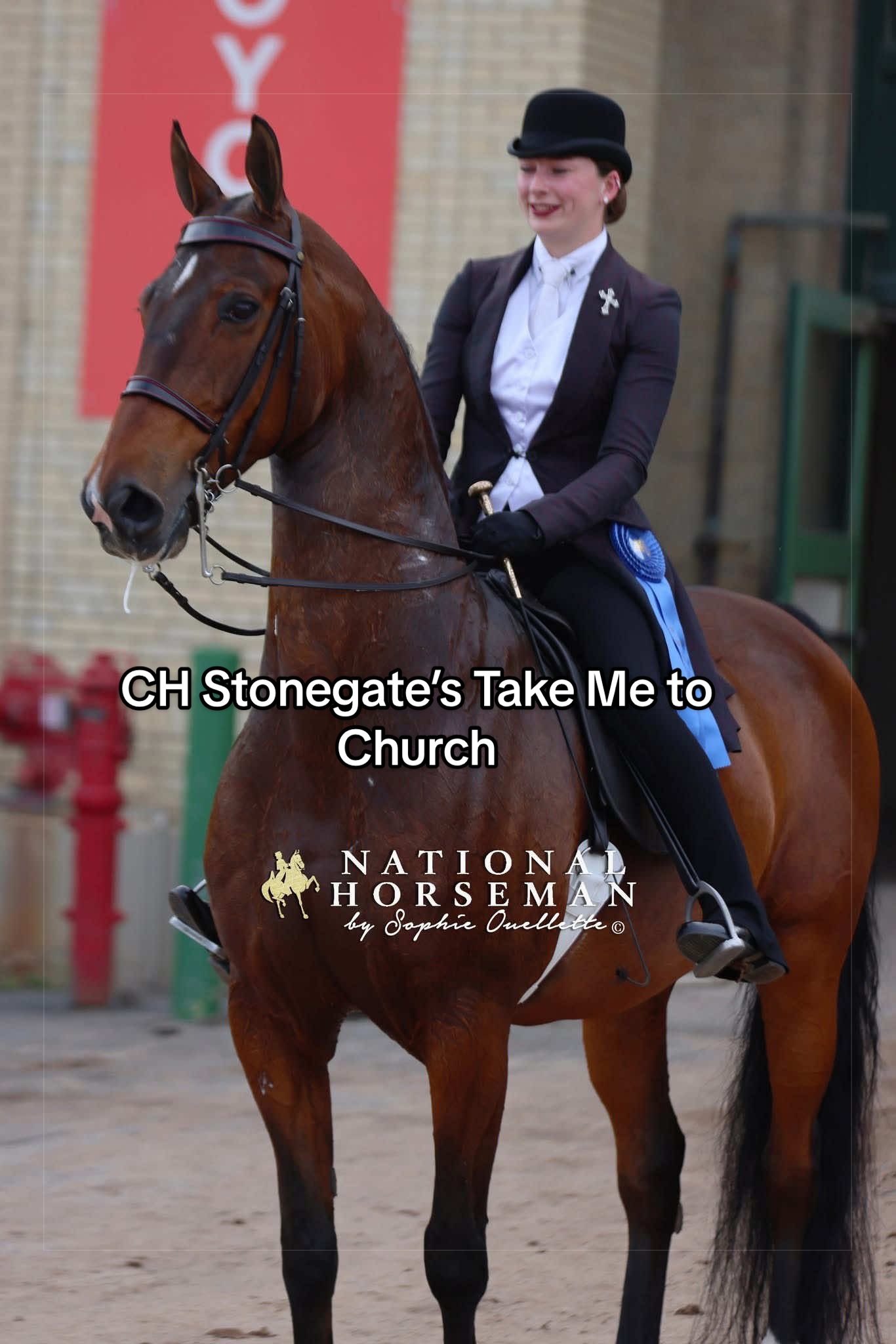 @Seraphim&ensp;Stables
