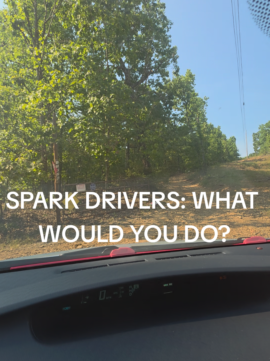 @PuffTheSassySparkDriver🛍️🪩