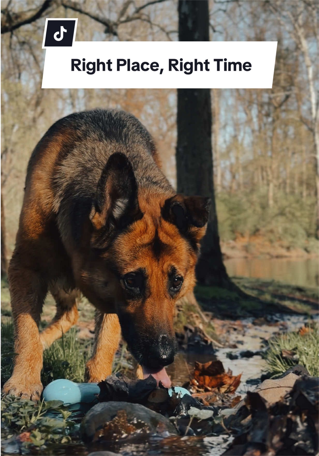 @OffLeash Outdoors