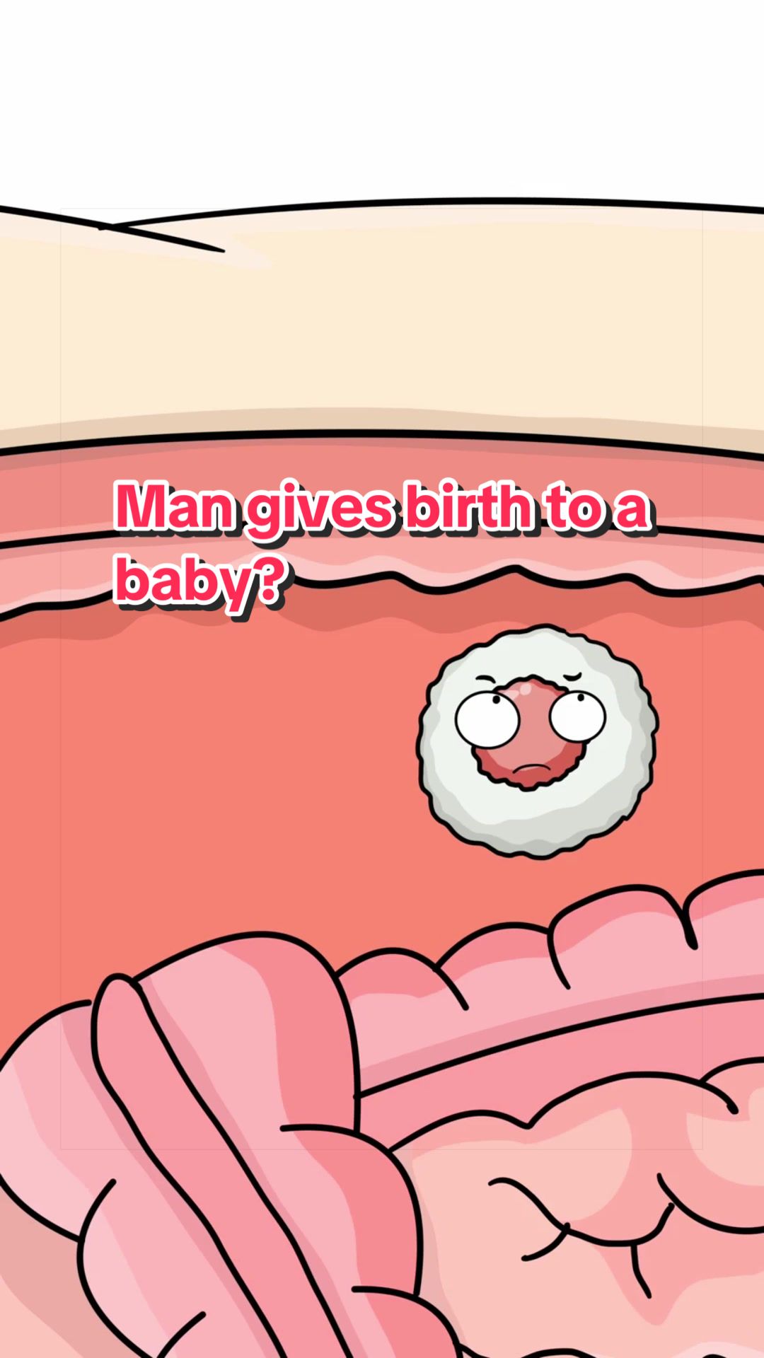 @Funny Animations