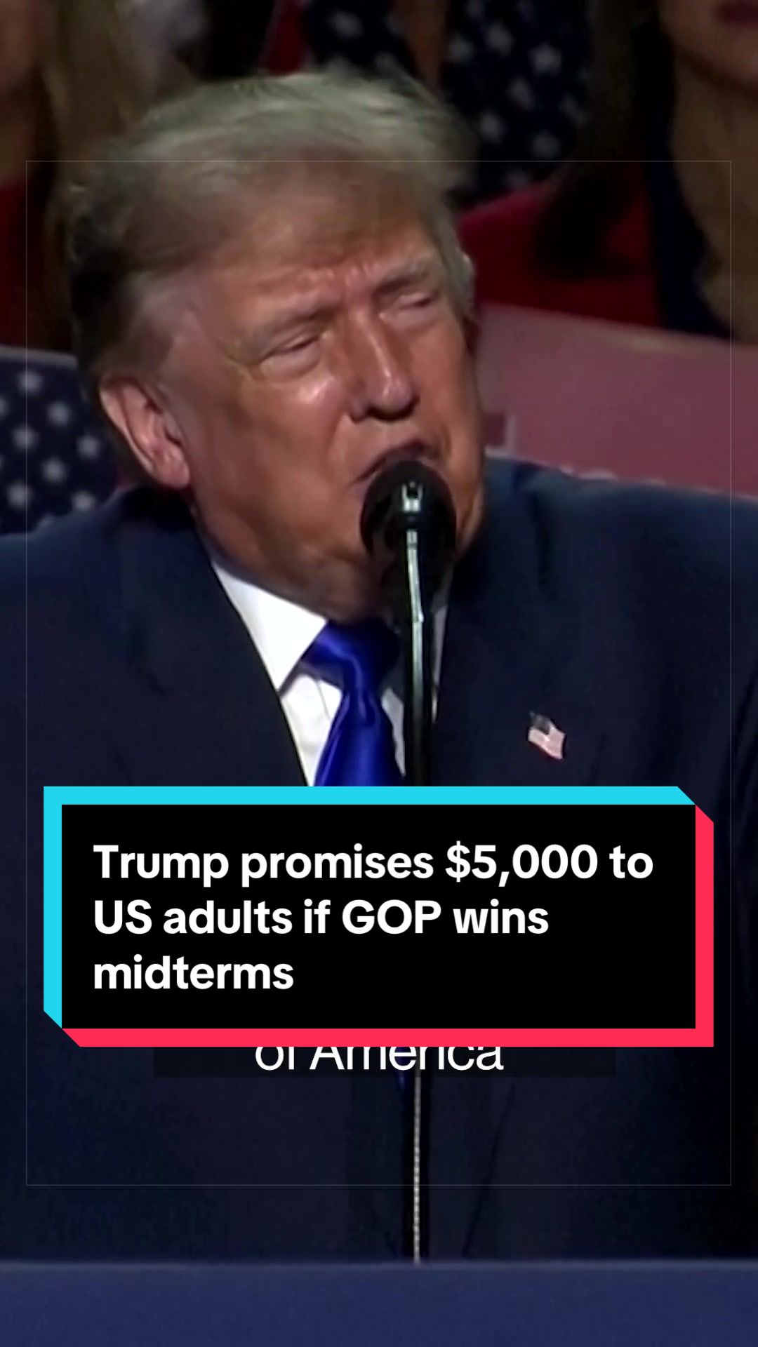 @Bloomberg Politics