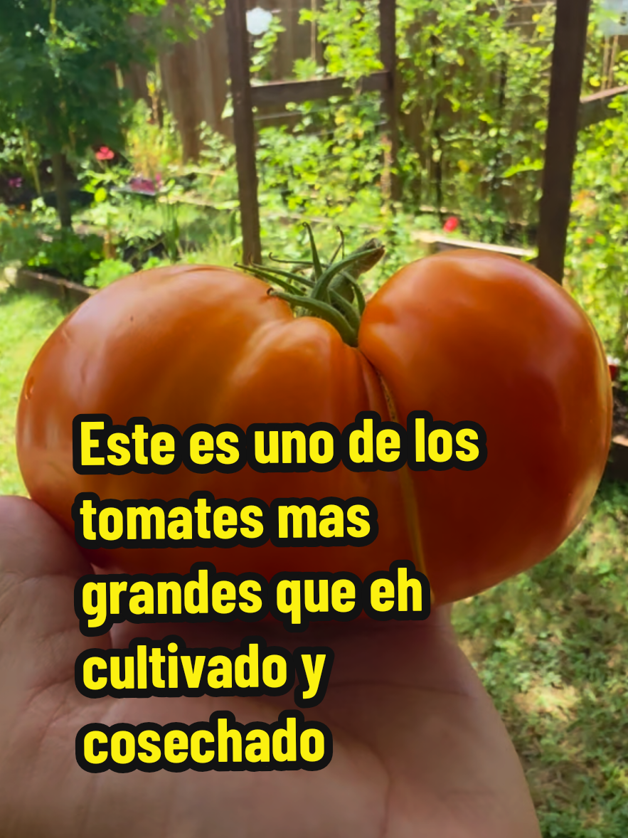 @Mi Rincón Favorito