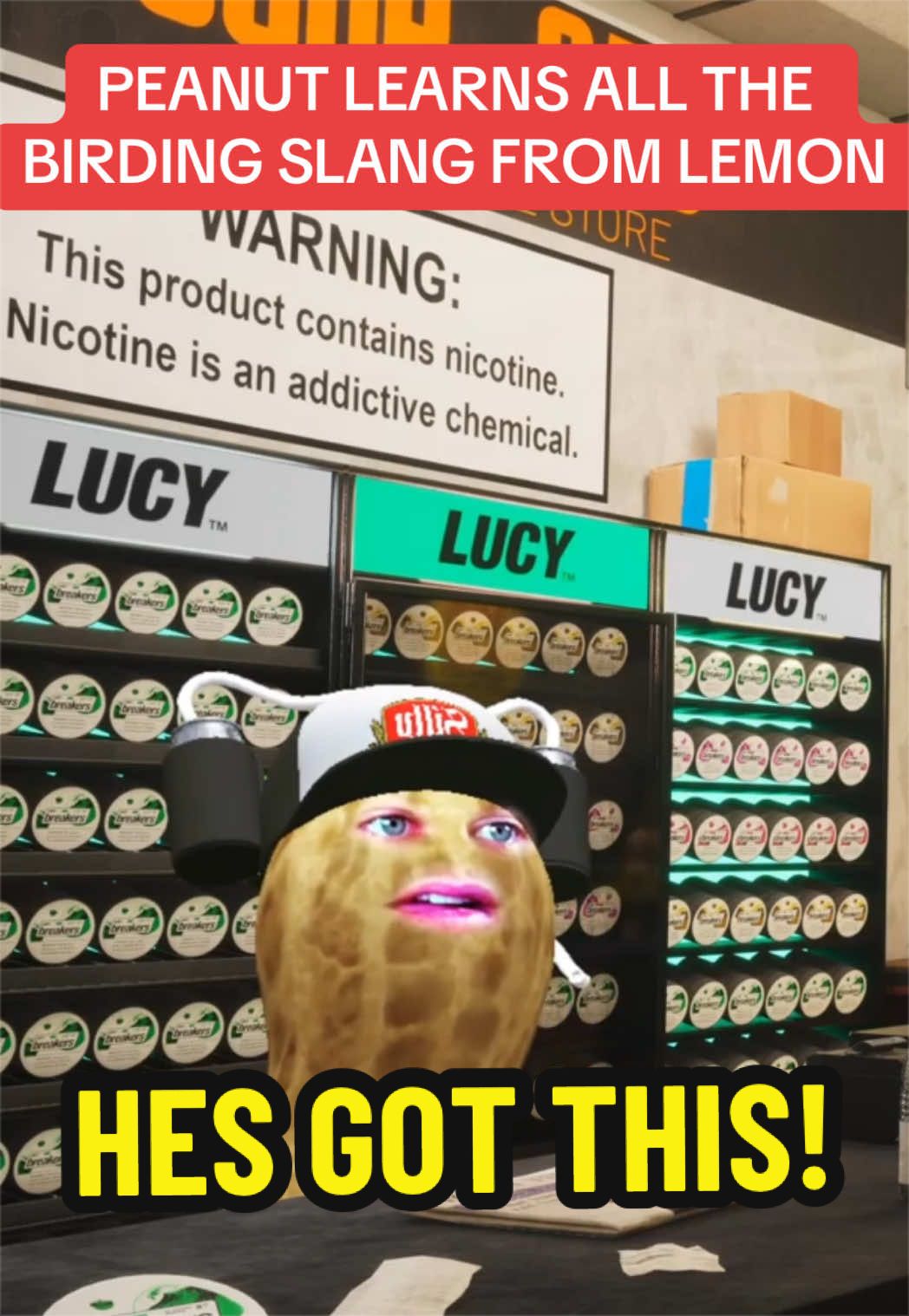 @Chronic Collector