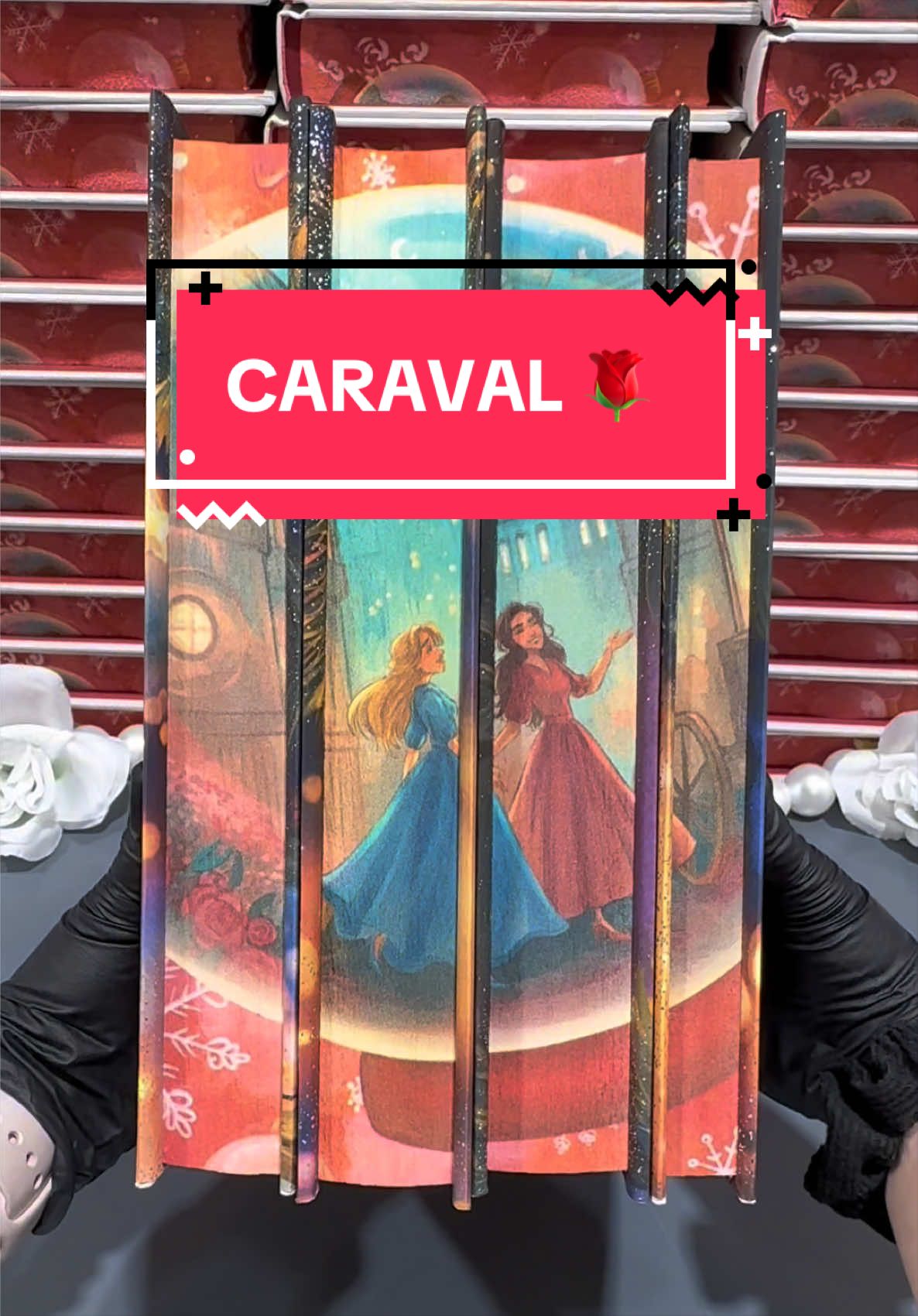 @AcryliPicsBookishNook
