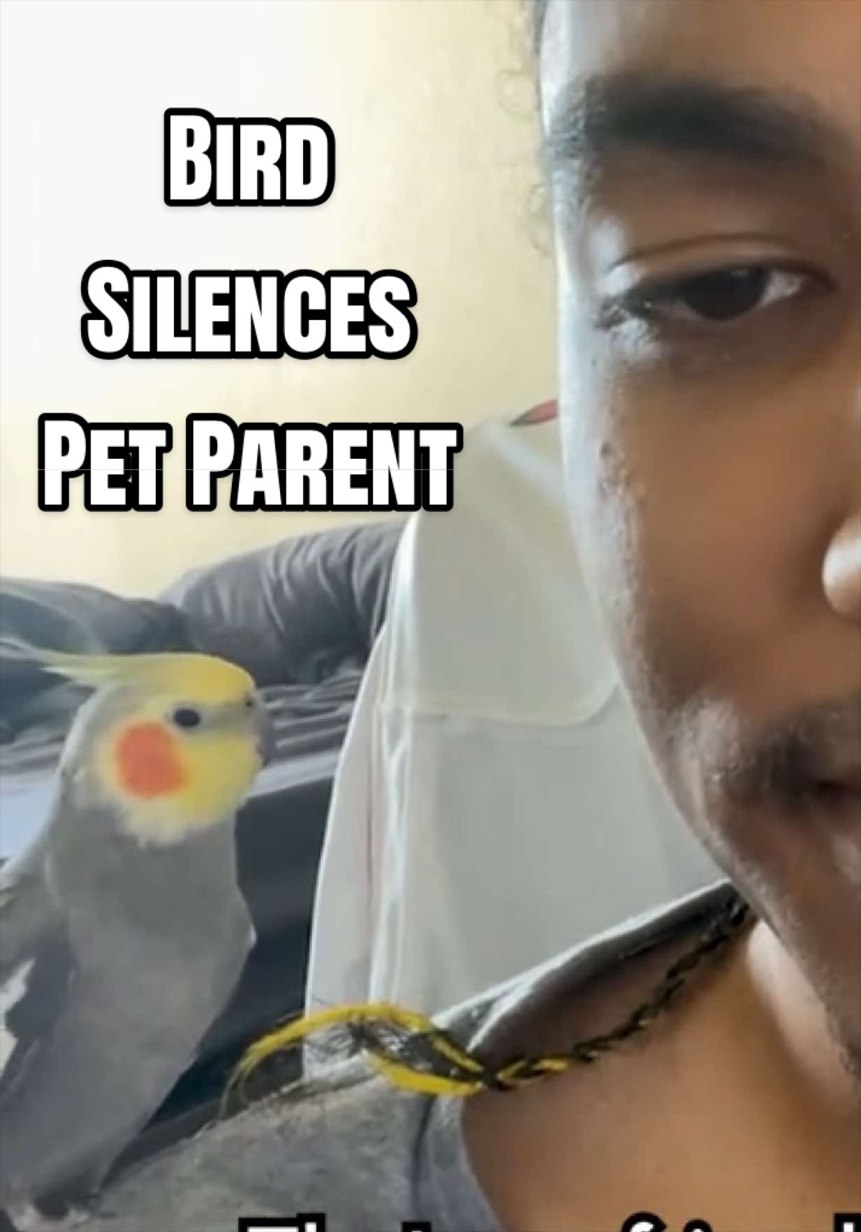 @The Pet Collective