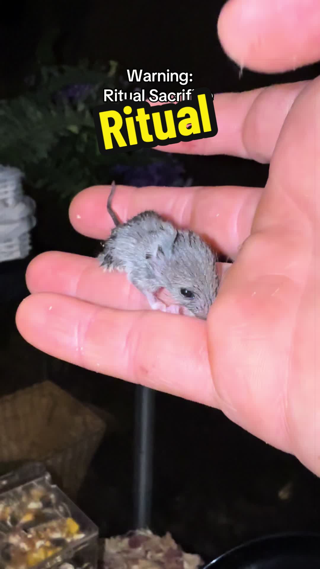 @Julie Kobylarz