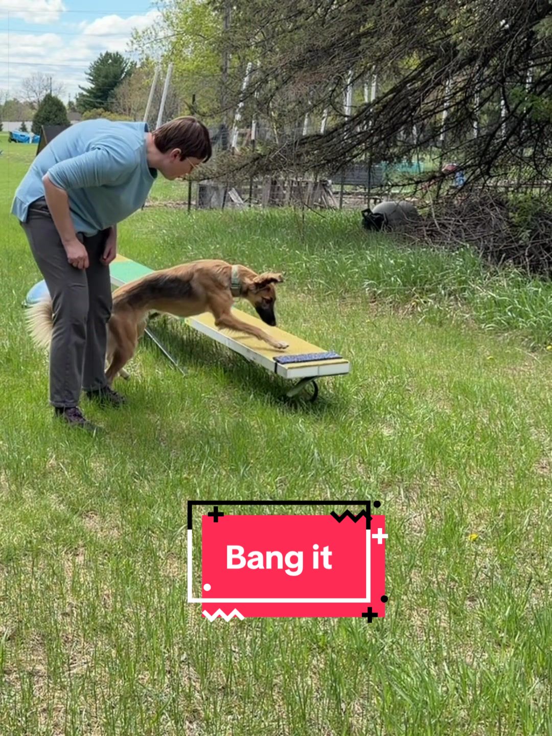 @Laura Waudby - Dog Sports